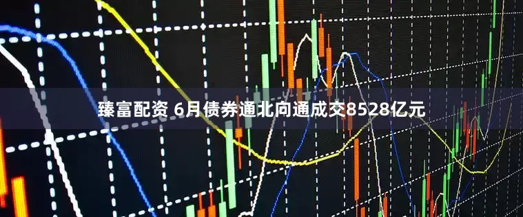 臻富配资 6月债券通北向通成交8528亿元