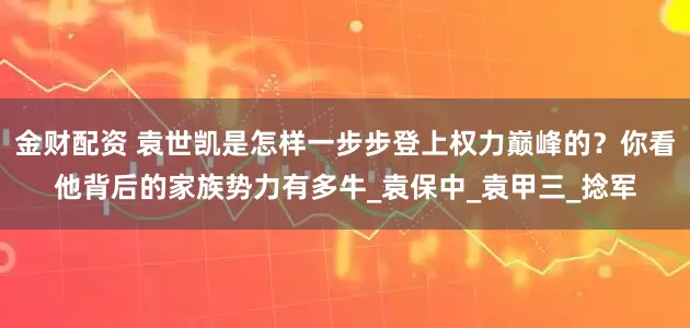 金财配资 袁世凯是怎样一步步登上权力巅峰的？你看他背后的家族势力有多牛_袁保中_袁甲三_捻军