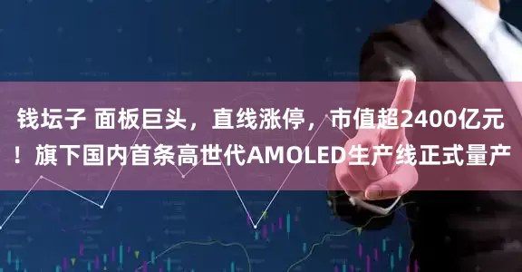 钱坛子 面板巨头，直线涨停，市值超2400亿元！旗下国内首条高世代AMOLED生产线正式量产
